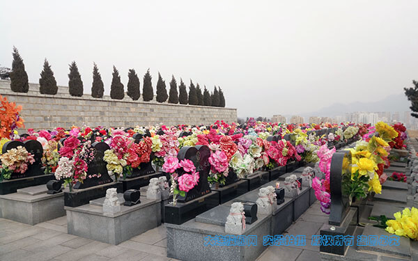 1550559197699689.jpg 微信图片_20190219145146.jpg