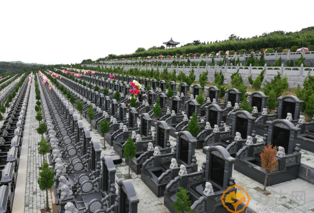 1571889222545363.png 2.png