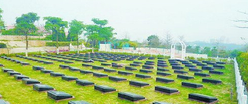 1572430556121016.png 2.png