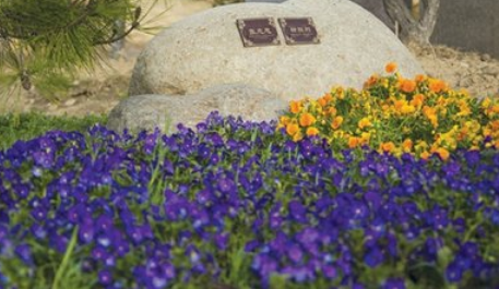 1572430580143419.png 4.png