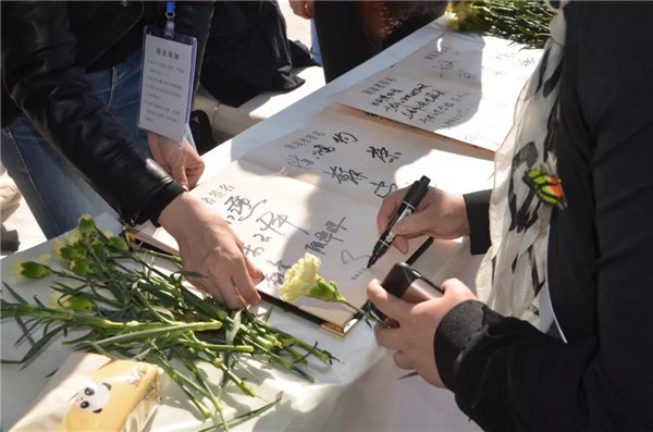 1572671993726309.jpg 25.jpg