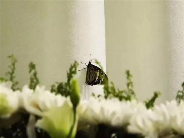 1572672111118616.jpg 34.jpg