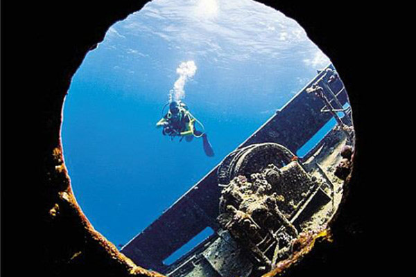 1573628002808907.jpg 2.jpg