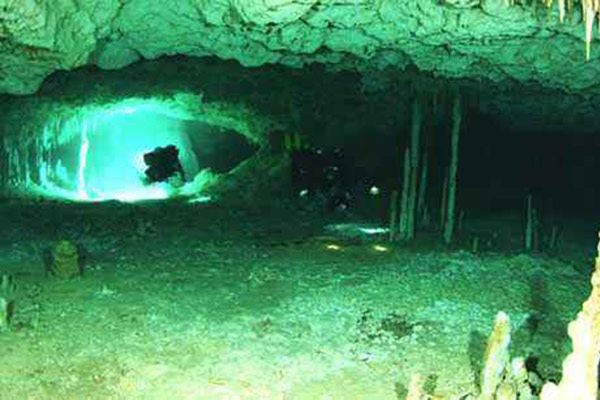 1573628010191011.jpg 3.jpg