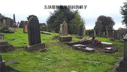 55.jpg
