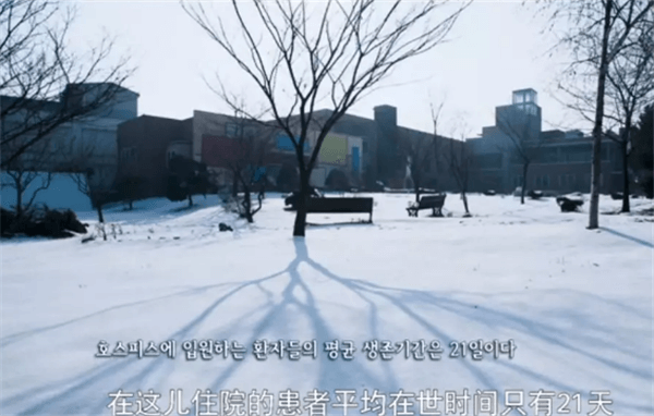 1575277090605288.png 1.png