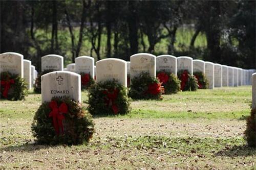 1575279999482854.jpg 8.jpg