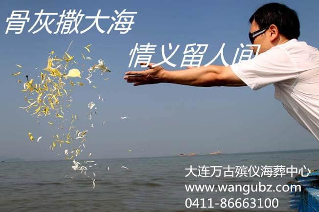 1575281327928219.jpg 44.jpg